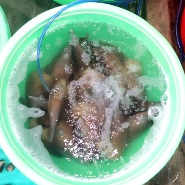 Tổng hợp- Quán Ăn Hải Sản Việt Quắn