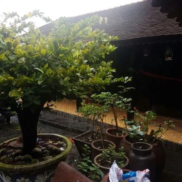 Tổng hợp- Quán Ăn Quán Vịt Cu Chì