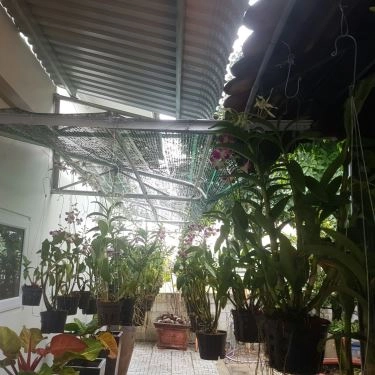 Tổng hợp- Quán Ăn Quán Vịt Cu Chì