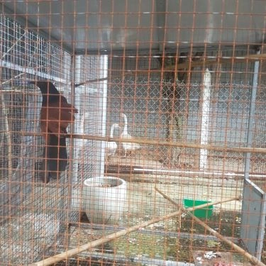 Tổng hợp- Quán Ăn Quán Vịt Cu Chì