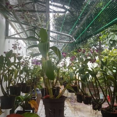 Tổng hợp- Quán Ăn Quán Vịt Cu Chì