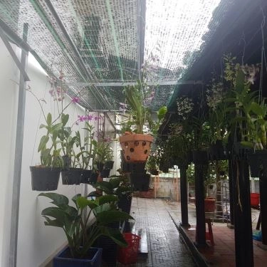 Tổng hợp- Quán Ăn Quán Vịt Cu Chì