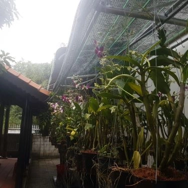Tổng hợp- Quán Ăn Quán Vịt Cu Chì