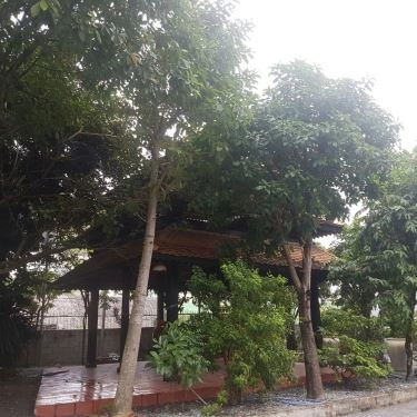 Tổng hợp- Quán Ăn Quán Vịt Cu Chì