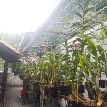 Tổng hợp- Quán Ăn Quán Vịt Cu Chì