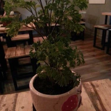 Tổng hợp- Quán Ăn Bún Bò Huế Xưa - Cách Mạng Tháng 8