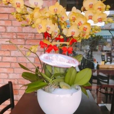 Tổng hợp- Quán Ăn Quảng Nam Quán - Món Ăn Gia Đình