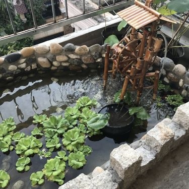 Tổng hợp- Nhà Hàng Quê Má - Rooftop Garden Restaurant