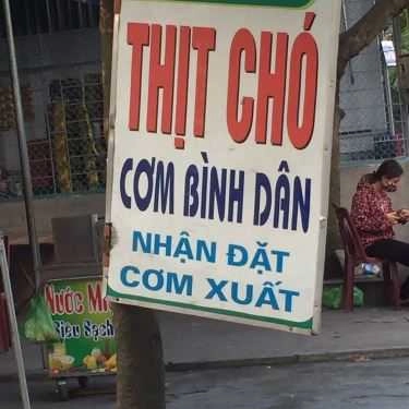 Tổng hợp- Quán Ăn Quý Loan - Cơm Bình dân & Thịt Chó Đủ Món