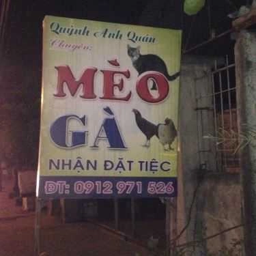 Tổng hợp- Quỳnh Anh - Đặc Sản Mèo & Gà