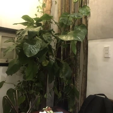 Tổng hợp- Nhà Hàng R.O.M Restaurant - Ẩm Thực Chay