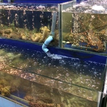 Tổng hợp- Quán Ăn Rạn Biển 2 - Kỳ Đồng