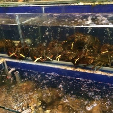Tổng hợp- Quán Ăn Rạn Biển 2 - Kỳ Đồng