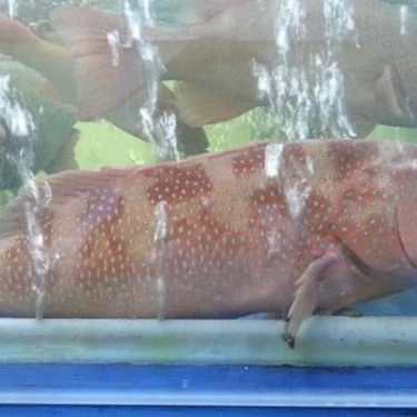 Tổng hợp- Quán Ăn Rạn Biển 1 - Phan Thúc Duyện
