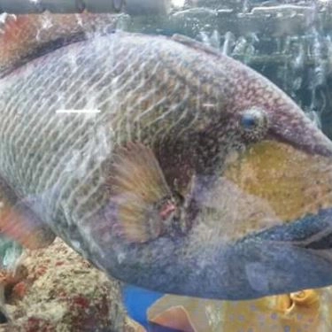 Tổng hợp- Quán Ăn Rạn Biển 1 - Phan Thúc Duyện