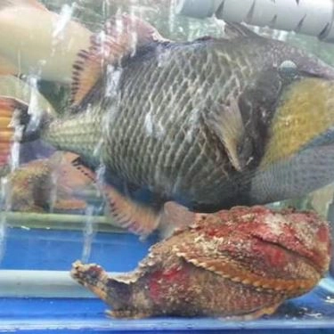 Tổng hợp- Quán Ăn Rạn Biển 1 - Phan Thúc Duyện
