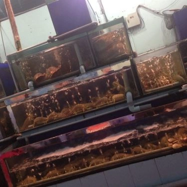 Tổng hợp- Quán Ăn Rạn Biển 1 - Phan Thúc Duyện