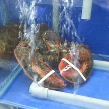 Tổng hợp- Quán Ăn Rạn Biển 1 - Phan Thúc Duyện