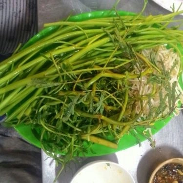 Tổng hợp- Quán Ăn Rau Đắng - Lẩu Cá Bống Kèo