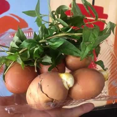 Tất cả hình- Rio - Ăn Vặt Các Loại