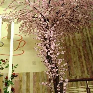 Tổng hợp- Nhà Hàng Romantic Restaurant & Cafe