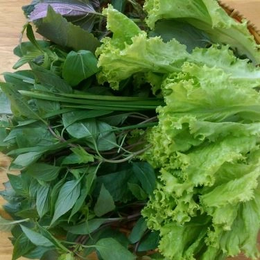 Tổng hợp- Quán Ăn Ru Chef - Nem Nướng Ninh Hòa