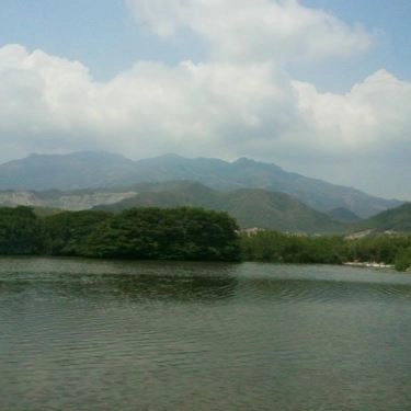 Không gian- Quán Ăn Rừng Đước - Món Nhậu Bình Dân