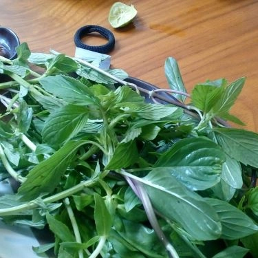 Tổng hợp- Quán Ăn Cửa Hàng Ẩm Thực - Sài Gòn Xanh