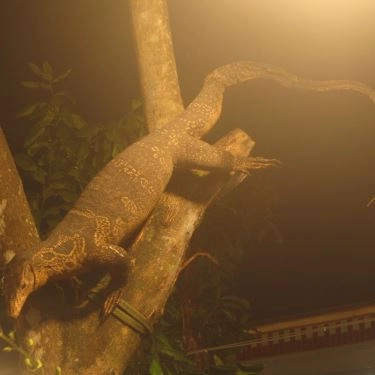 Tổng hợp- Sala - Quán Ăn Gia Đình