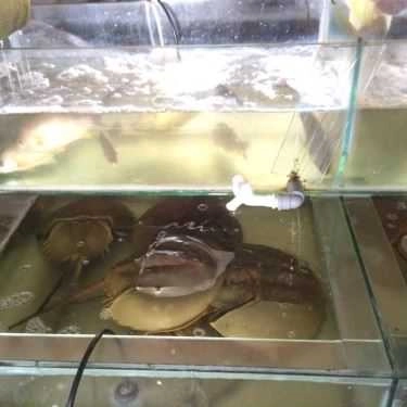 Món ăn- Sân Bia Biển Đông - Đường Bao Biển Cột 8