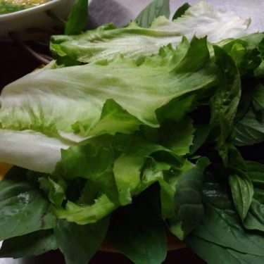 Tổng hợp- Quán Ăn Mì Gia Sanh Ký