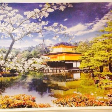 Tổng hợp- Quán Ăn SaSin - Mì Cay 7 Cấp Độ Hàn Quốc - Lê Văn Thọ