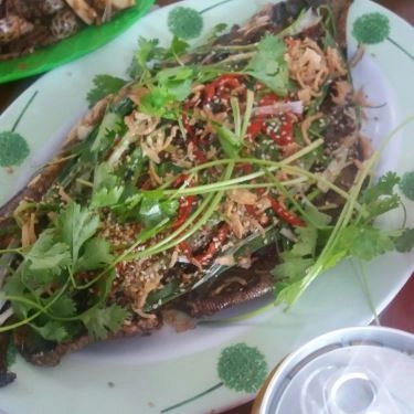 Món ăn- Quán Ăn Sáu Lương - Gỏi Cá & Hải Sản Tươi Sống