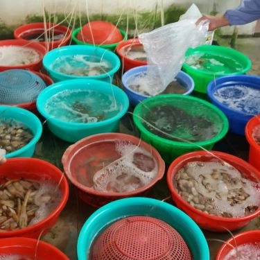 Tổng hợp- Quán Ăn Sáu Lương - Gỏi Cá & Hải Sản Tươi Sống