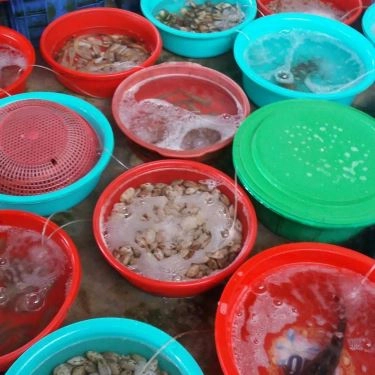 Tổng hợp- Quán Ăn Sáu Lương - Gỏi Cá & Hải Sản Tươi Sống
