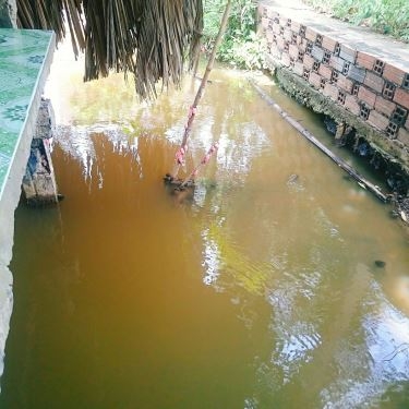 Tổng hợp- Sáu Quẻn - Quán Ăn Bờ Hồ