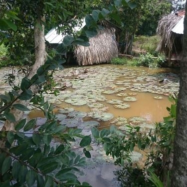 Tổng hợp- Sáu Quẻn - Quán Ăn Bờ Hồ