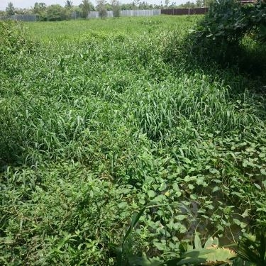Tổng hợp- Sáu Quẻn - Quán Ăn Bờ Hồ