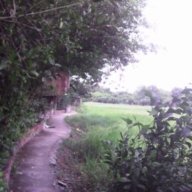 Tổng hợp- Sáu Quẻn - Quán Ăn Bờ Hồ