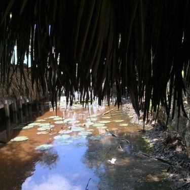 Tổng hợp- Sáu Quẻn - Quán Ăn Bờ Hồ