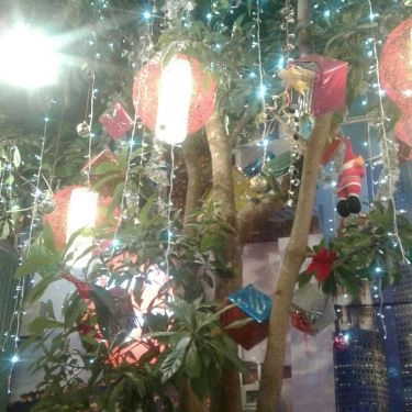 Tổng hợp- Quán Ăn Sentosa Food - Cháo Ếch Singapore - Đường 30 Tháng 4