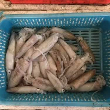 Tổng hợp- Phương Thúy - Siêu Thị Ốc