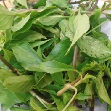Tổng hợp- Quán Ăn So Hot - Mì Cay Hàn Quốc 7 Cấp Độ