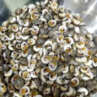 Tổng hợp- Quán Ăn Sò Huế - Tố Hữu