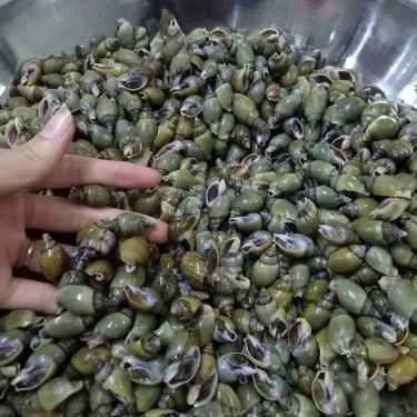 Tổng hợp- Quán Ăn Sò Huế - Tố Hữu