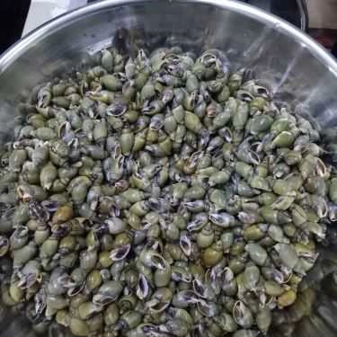 Tổng hợp- Quán Ăn Sò Huế - Tố Hữu