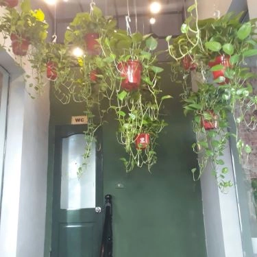 Tổng hợp- Quán Ăn Sogo Cook - Lẩu Hongkong
