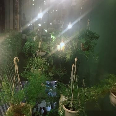 Tổng hợp- Quán Ăn Sogo Cook - Lẩu Hongkong