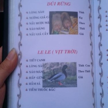 Thực đơn- Quán Ăn Sơn Ca - Bê Thui Nóng - Phan Xích Long