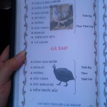Thực đơn- Quán Ăn Sơn Ca - Bê Thui Nóng - Phan Xích Long